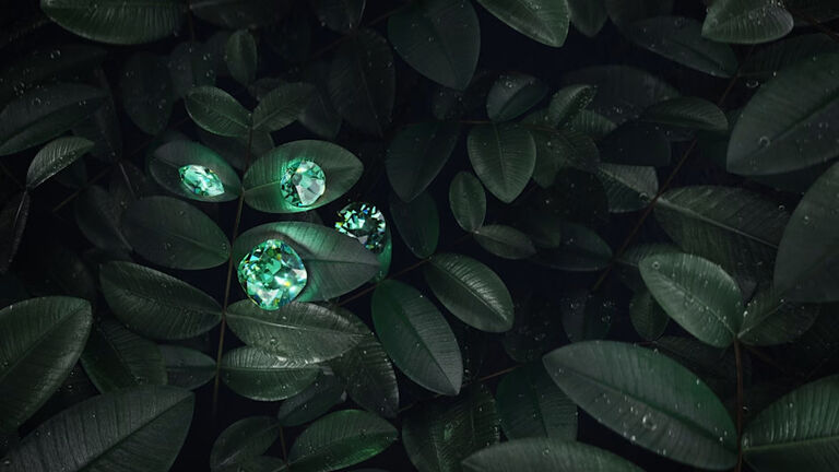 swarovski swarovski